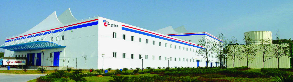 584828141973579008.jpg Ag集团