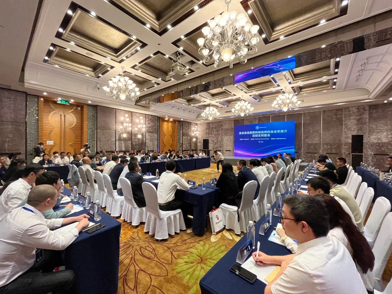 小七对接.jpg Ag集团